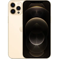 Apple iPhone 12 Pro Max 256GB zlatý - Mobilné telefóny