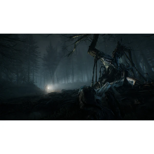 Blair Witch (PS4) - Hry na PS4 - Obrázok 0SS3100201