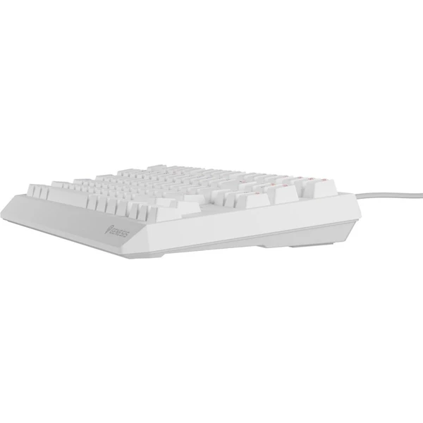 Genesis THOR 230 TKL RGB mechanická klávesnica biela Outemu Brown - Klávesnice - Obrázok 13I5000O01