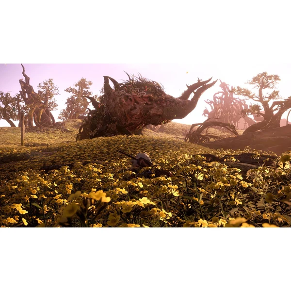 Wild Hearts (PS5) - Hry na PS5 - Obrázok 1C4J100501
