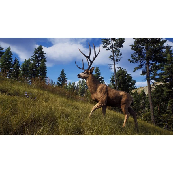 Way of the Hunter - Hunting Season One (PS5) - Hry na PS5 - Obrázok 1EZ6000701