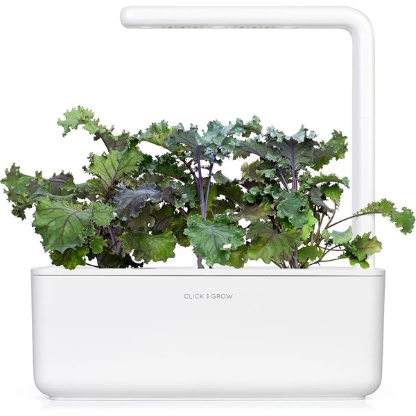 Click and Grow Kel kučeravý kapsule so semienkami a substrátom 3ks - Sadenice - Obrázok 1LTR000401
