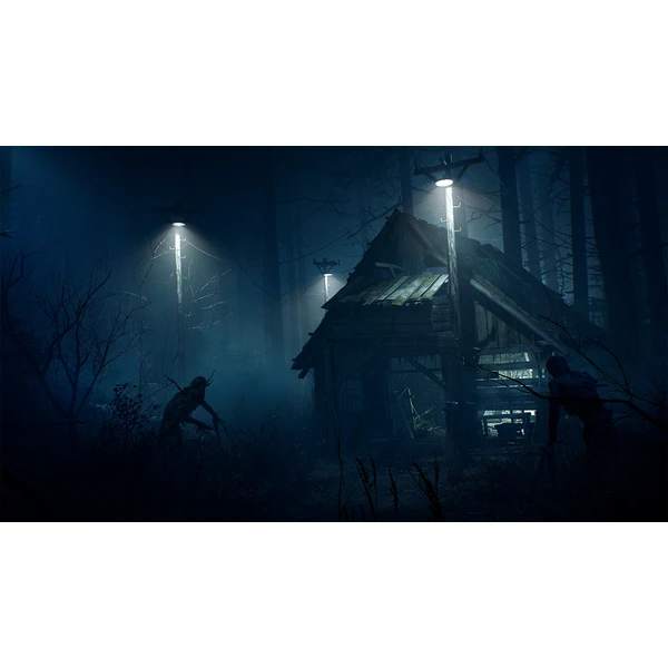 Blair Witch (PS4) - Hry na PS4 - Obrázok 1SS3100201