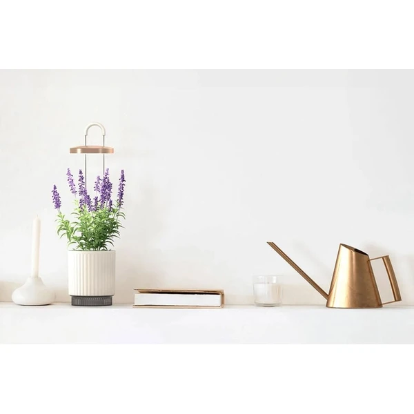 Click and Grow Smart Garden 1 HydroVase by Ermonix šikovný kvetináč sivý - Kvetináče - Obrázok 20DJ000K01