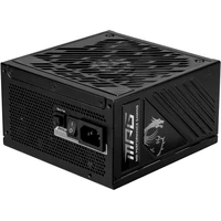 MSI MPG A1000GS PCIE5 1000W - Zdroje