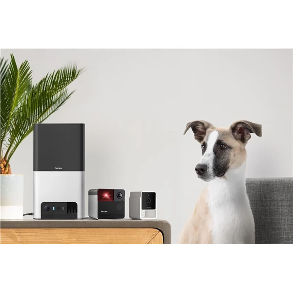 PetCube Cam - Kamery - Obrázok 26T5000J01