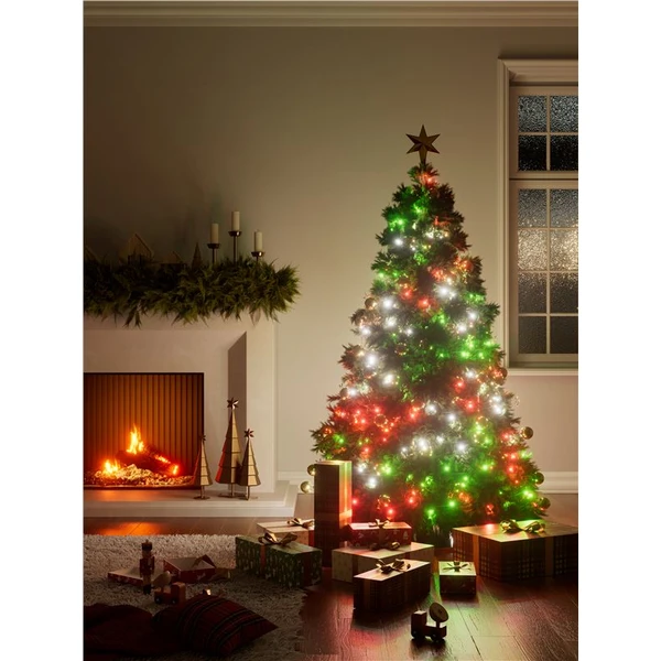 Nanoleaf Matter Smart Holiday String Lights (24 m/300 LEDs ...