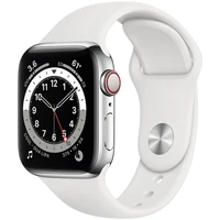 Apple Watch Series 6 Cellular 40mm oceľ - Inteligentné hodinky