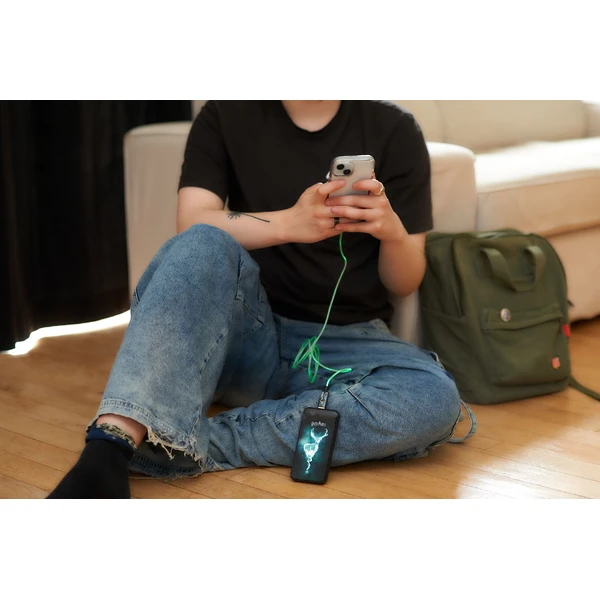 Lazerbuilt svietiaca powerbanka Harry Potter - Patronus 10000 mAh - Powerbanky - Obrázok 2A7H000K01