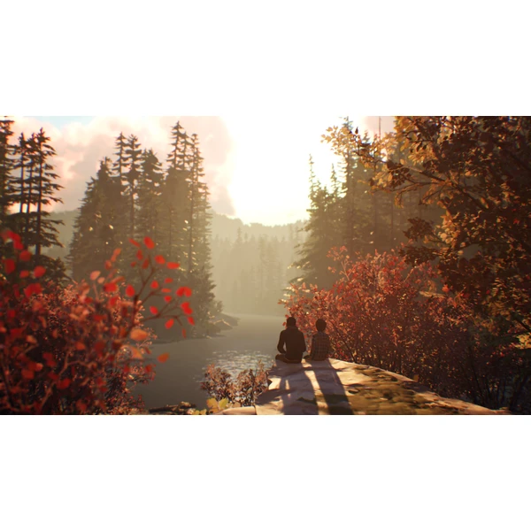 Life is Strange 2 (PS4) - Hry na PS4 - Obrázok 2EA5100201