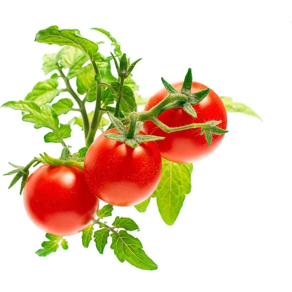 Click and Grow mini paradajky kapsule so semienkami a substrátom 3ks - Sadenice - Hlavný obrázok