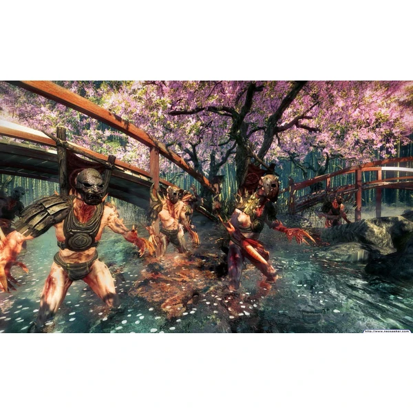 Shadow Warrior (PS4) - Hry na PS4 - Obrázok 2V55100201