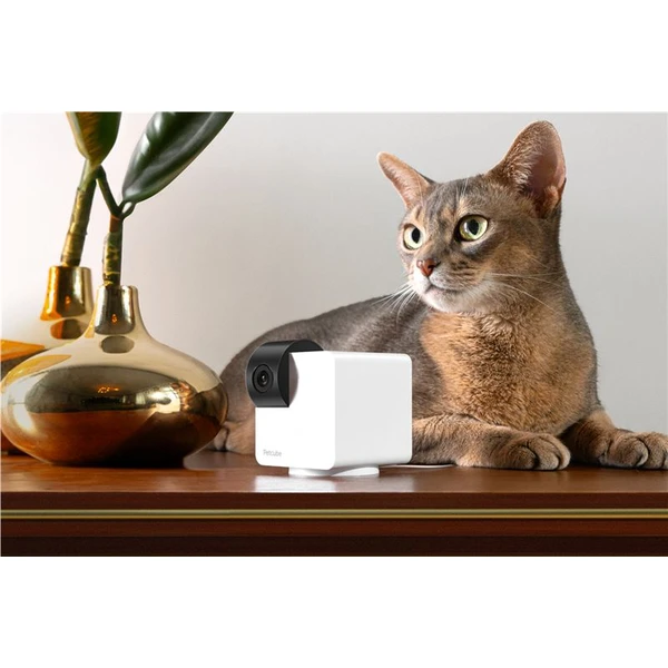 PetCube Cam 360 - Kamery - Obrázok 33T5000J01