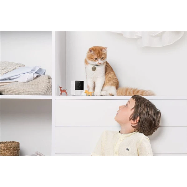 PetCube Cam - Kamery - Obrázok 36T5000J01