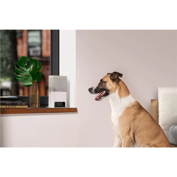 Petcube Bites 2 Lite - Kamery - Obrázok 38T5000J01