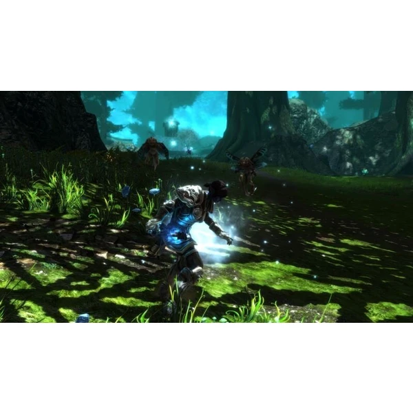 Kingdoms of Amalur: Re-Reckoning (SWITCH) - Hry na Nintendo Switch - Obrázok 3LEO600301