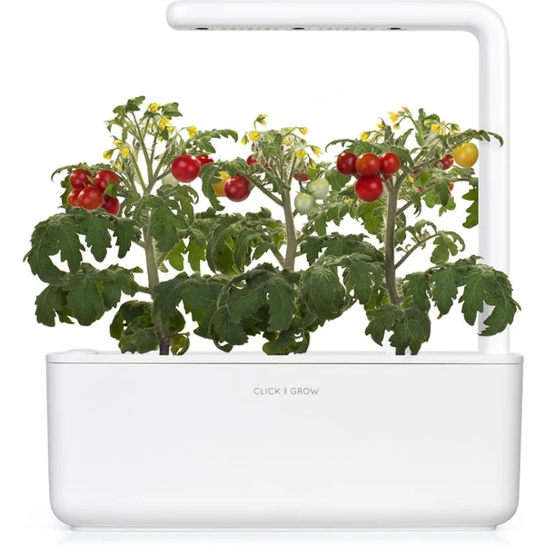 Click and Grow mini paradajky kapsule so semienkami a substrátom 3ks - Sadenice - Obrázok 3LYR000401