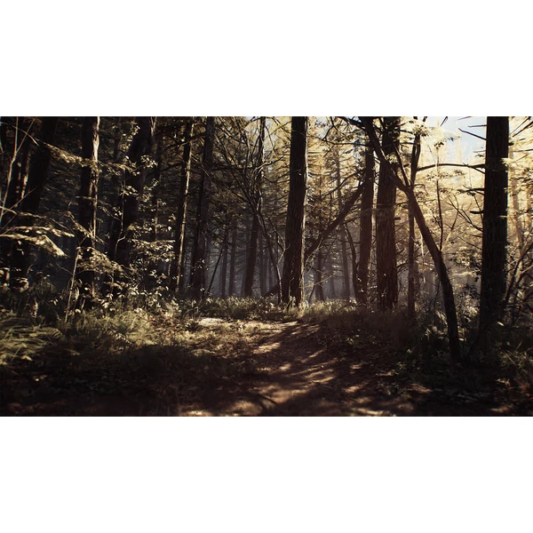 Blair Witch (PS4) - Hry na PS4 - Obrázok 3SS3100201