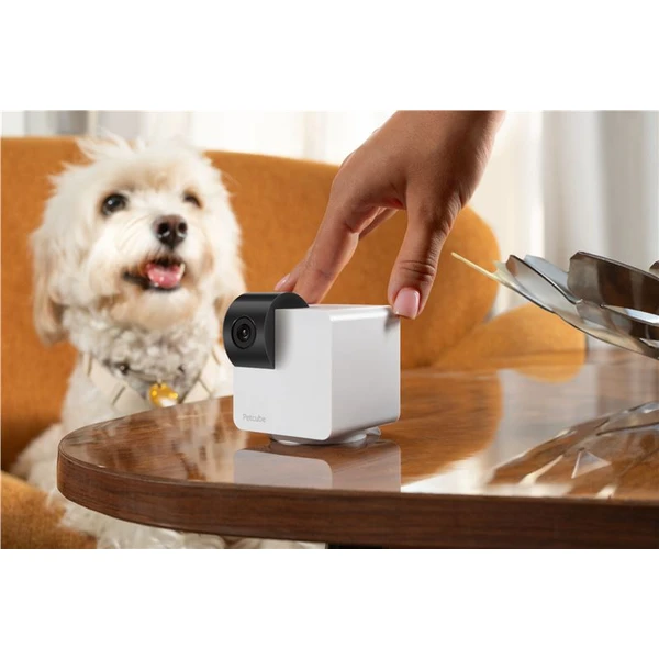 PetCube Cam 360 - Kamery - Obrázok 43T5000J01