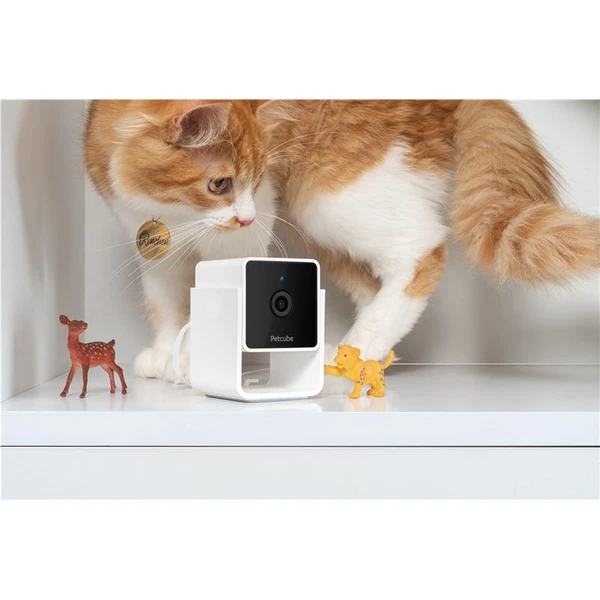 PetCube Cam - Kamery - Obrázok 46T5000J01