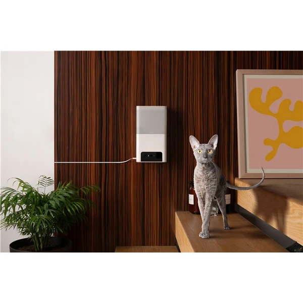 Petcube Bites 2 Lite - Kamery - Obrázok 48T5000J01