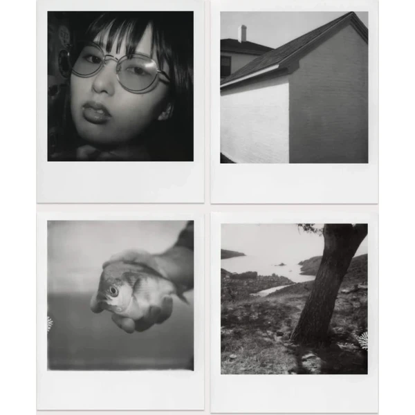Polaroid B&W Film SX-70 - Filmy pre instantné fotoaparáty - Obrázok 4N0E000K01