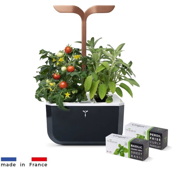 E-shop Véritable Exky SMART automatický kvetináč s reguláciou osvetlenia (2ks Lingot) čierny