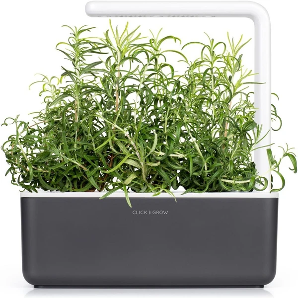 Click and Grow rozmarín kapsule so semienkami a substrátom 3ks - Sadenice - Obrázok 5LWR000401