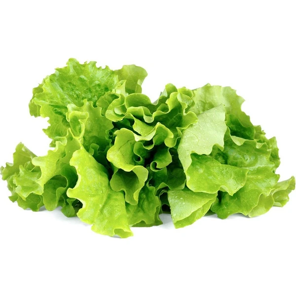Click and Grow zelený šalát kapsule so semienkami a substrátom 3ks - Sadenice - Hlavný obrázok