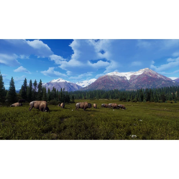 Way of the Hunter Wild Expeditions (PS5) - Hry na PS5 - Obrázok 63L9000L01