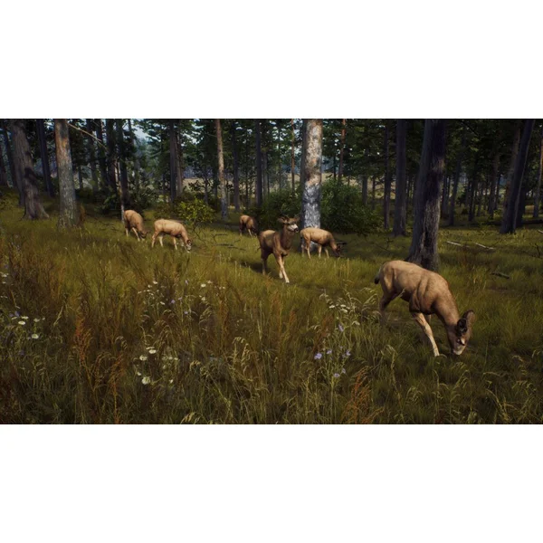 Way of the Hunter (Xbox Series X) - Hry na Xbox One - Obrázok 66PB100501