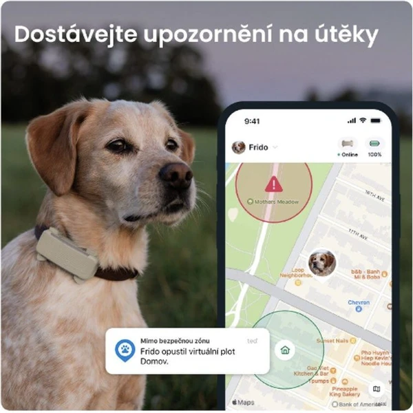 Tractive GPS DOG 6 lokátor polohy a aktivity pre psy hnedý - GPS Moduly  - Obrázok 6CTD000L01