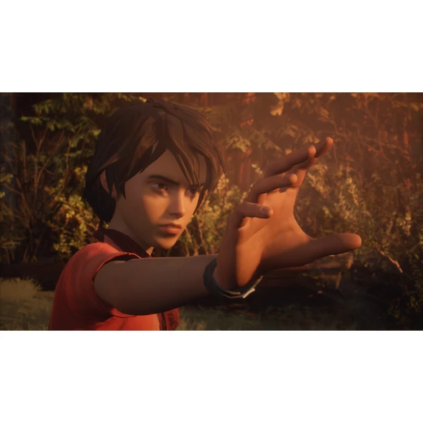 Life is Strange 2 (PS4) - Hry na PS4 - Obrázok 6EA5100201