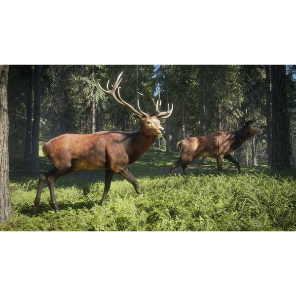 theHunter: Call of the Wild (PS4) - Hry na PS4 - Obrázok 6JX3100201