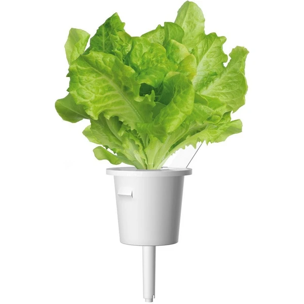 Click and Grow zelený šalát kapsule so semienkami a substrátom 3ks - Sadenice - Obrázok 6MYR000401