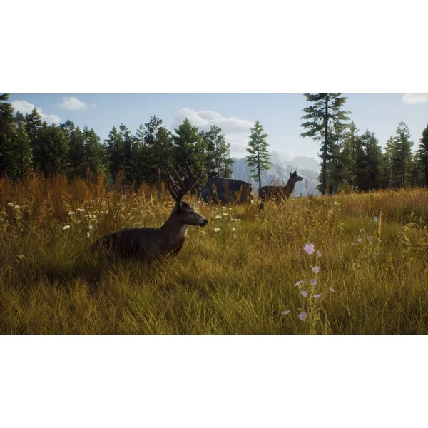 Way of the Hunter (Xbox Series X) - Hry na Xbox One - Obrázok 76PB100501