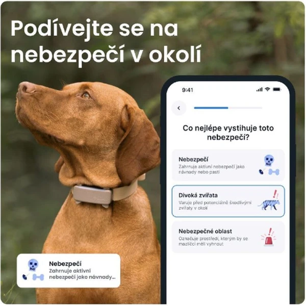 Tractive GPS DOG 6 lokátor polohy a aktivity pre psy hnedý - GPS Moduly  - Obrázok 7CTD000L01