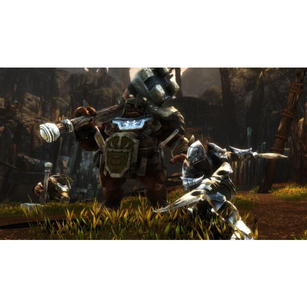 Kingdoms of Amalur: Re-Reckoning (SWITCH) - Hry na Nintendo Switch - Obrázok 7LEO600301