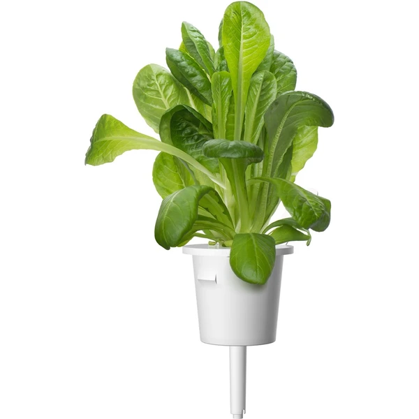 Click and Grow rozmarín kapsule so semienkami a substrátom 3ks - Sadenice - Obrázok 7LWR000401