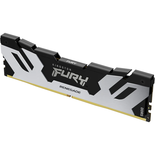 Kingston FURY Renegade Black DDR5 24GB 7200MT/s CL38 DIMM (1x24GB) XMP - Operačné pamäte - Hlavný obrázok