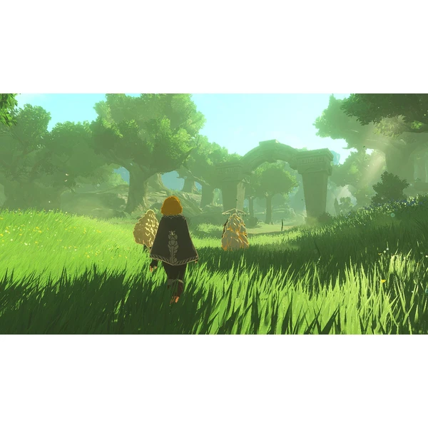 Hyrule Warriors: Age of Imprisonment (Switch 2) - Hry na Nintendo Switch 2 - Obrázok 81QD000P01