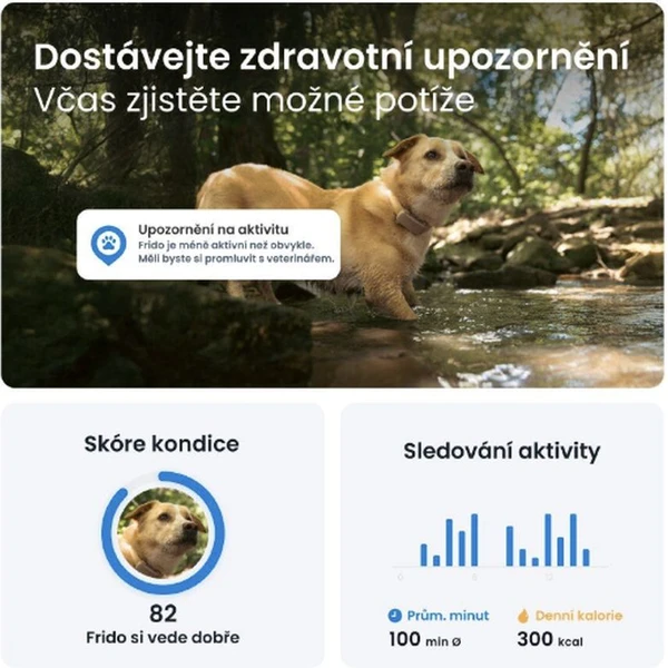 Tractive GPS DOG 6 lokátor polohy a aktivity pre psy hnedý - GPS Moduly  - Obrázok 8CTD000L01