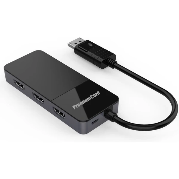 PremiumCord DisplayPort 1.4/3x HDMI 2.0 redukcia 4K čierna - Káble a redukcie - Hlavný obrázok