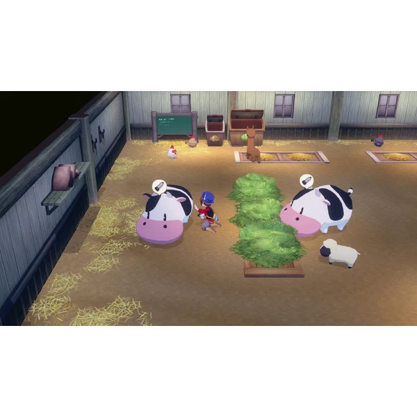 Story of Seasons: Grand Bazaar Limited Edition (Switch) - Hry na Nintendo Switch - Obrázok 94YE000O01