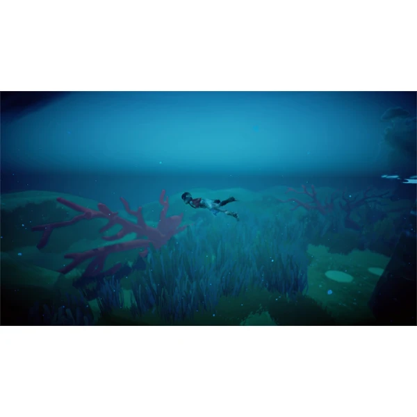 Rime (Xbox One) - Hry na Xbox One - Obrázok 9B85100201