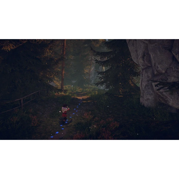 Skábma Snowfall (PS4) - Hry na PS4 - Obrázok 9BF2G00101