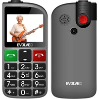 EVOLVEO EasyPhone FL mobilný telefón pre seniorov s nabíjacím stojanom strieborná - Mobilné telefóny