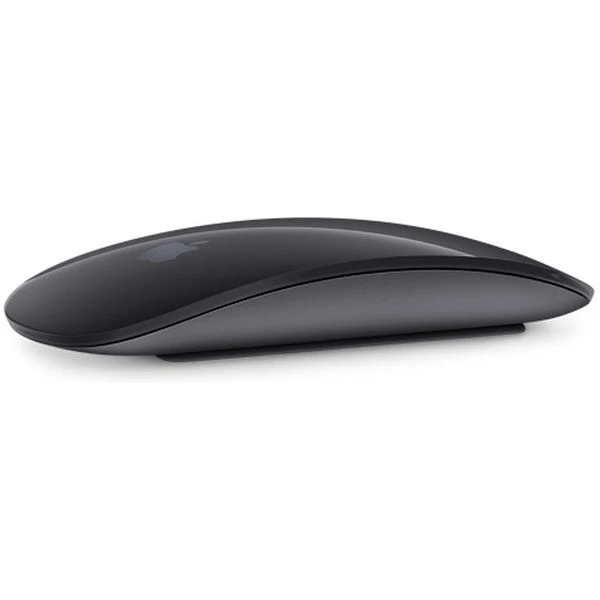 Apple Magic Mouse 2 vesmírne šedá (Ďalšia) - Myši - Hlavný obrázok