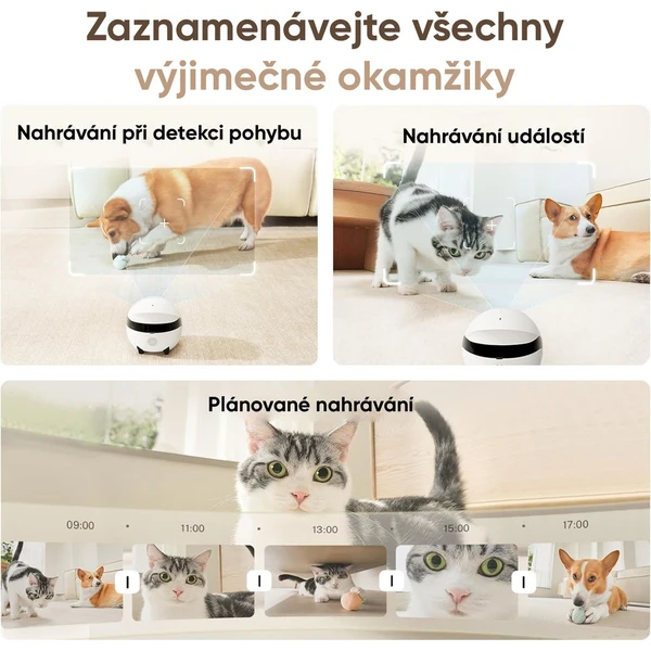 Enabot ROLA Mini biela - IP kamery - Obrázok 9Z8L000K01