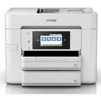 Epson WorkForce Pro WF-C4810DTWF - Tlačiarne
